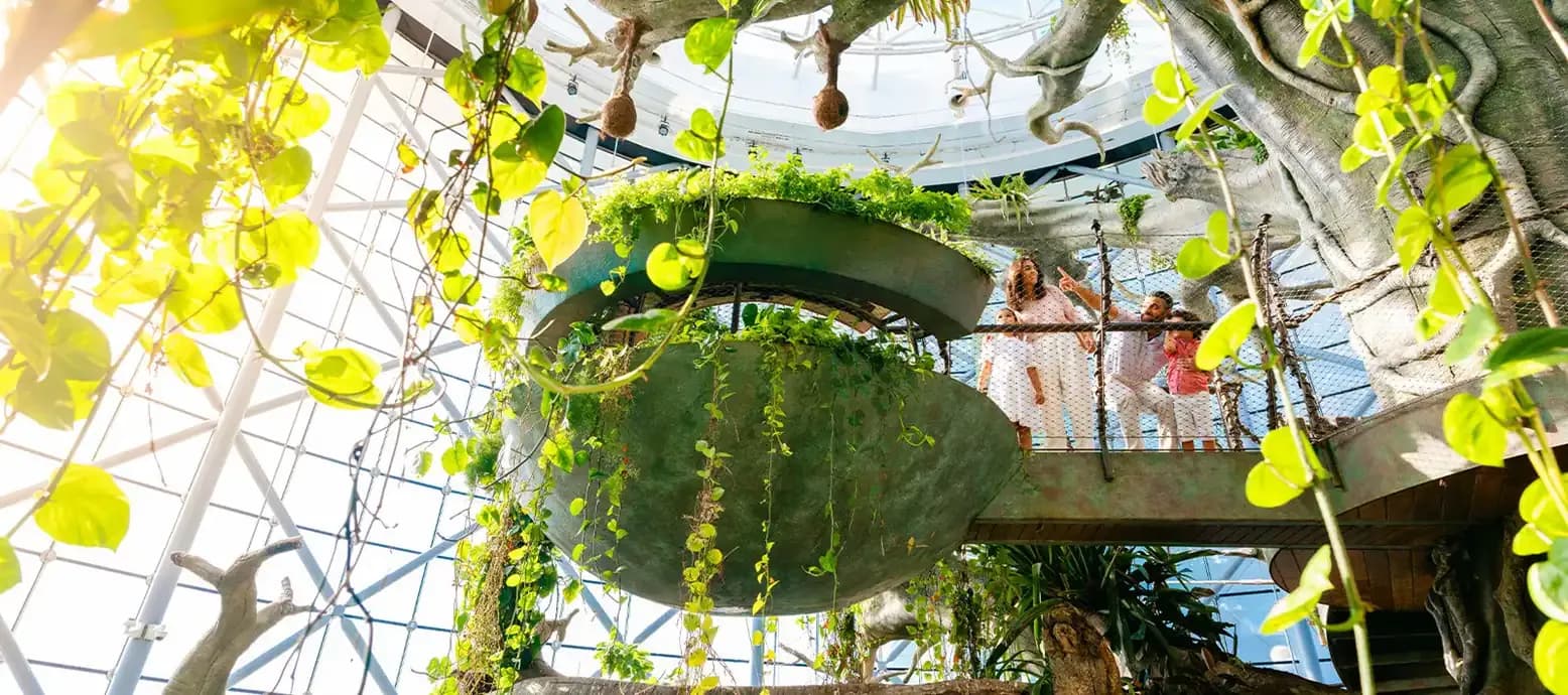 The Green Planet Dubai - Image 9